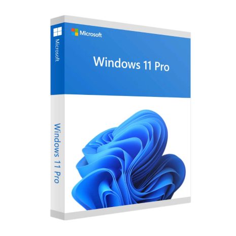 Windows 11 pro-dsp_1