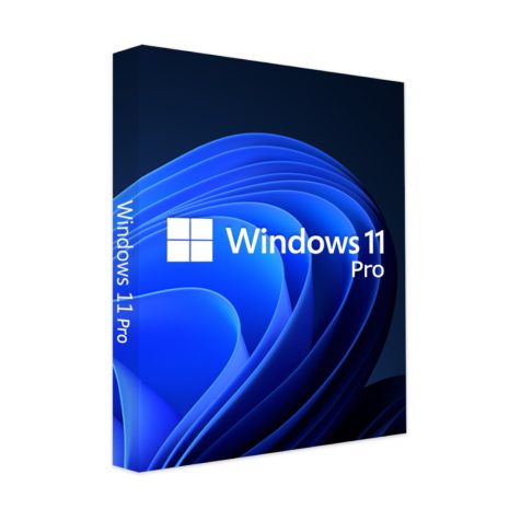 ESD-windowa-11-pro