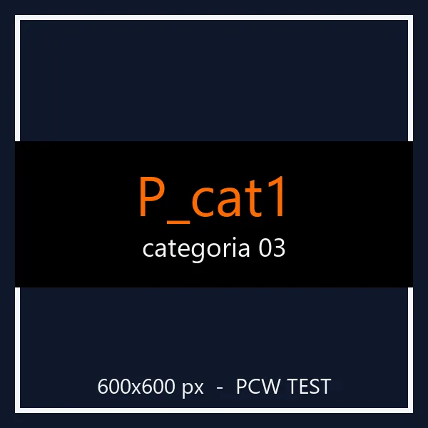 PCW test P_cat1 03