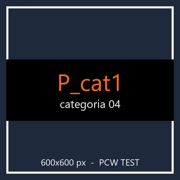 PCW test P_cat1 04