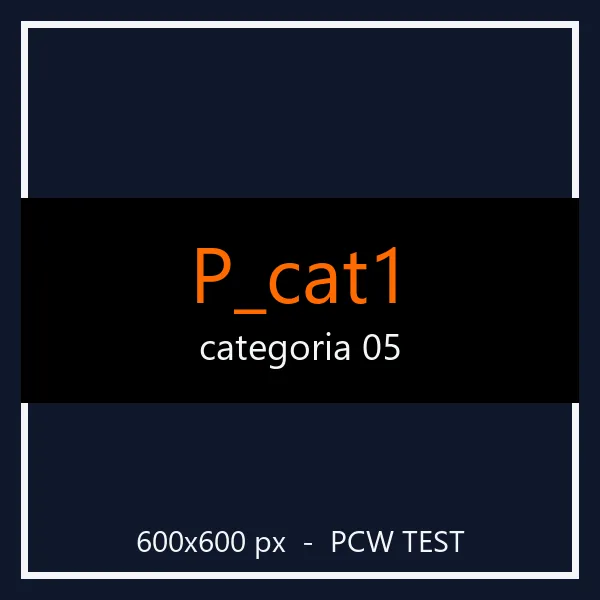 PCW test P_cat1 05