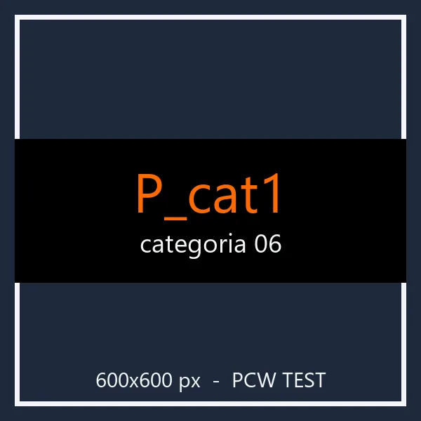 PCW test P_cat1 06